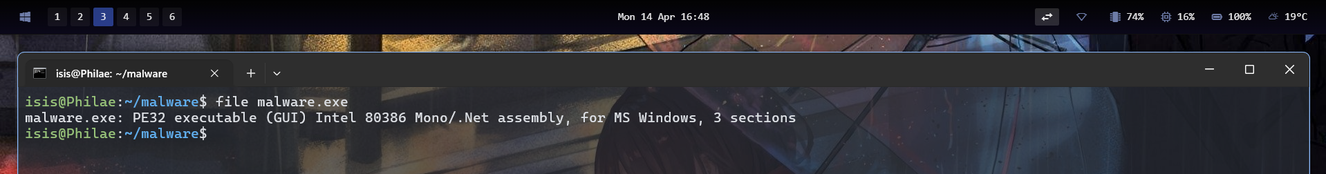 Dotnet malware